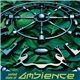 Various - United State Of Ambience